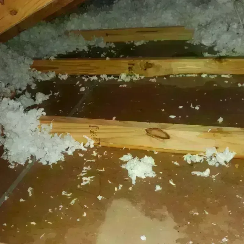 Attic Water Damage in Clara City, MN