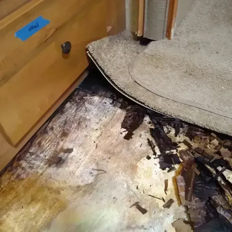 Wood Floor Water Damage in Clara City, MN